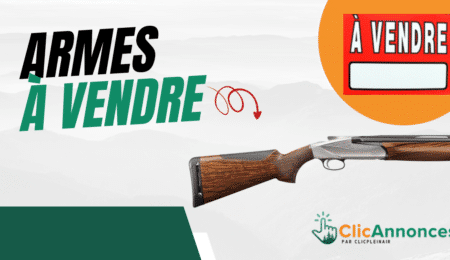 Carabine à vendre