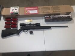 Savage 17 hmr