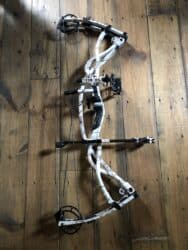 Hoyt carbone matrix