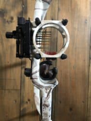 Hoyt carbone matrix