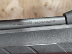 petite wildcat 22LR