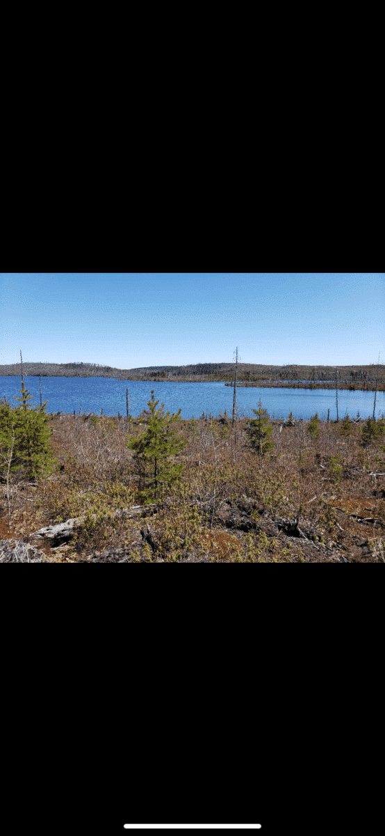 Terrain bord de l’eau