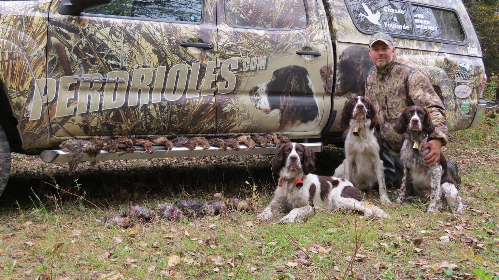 Guide de chasse aux petits gibiers avec chiens