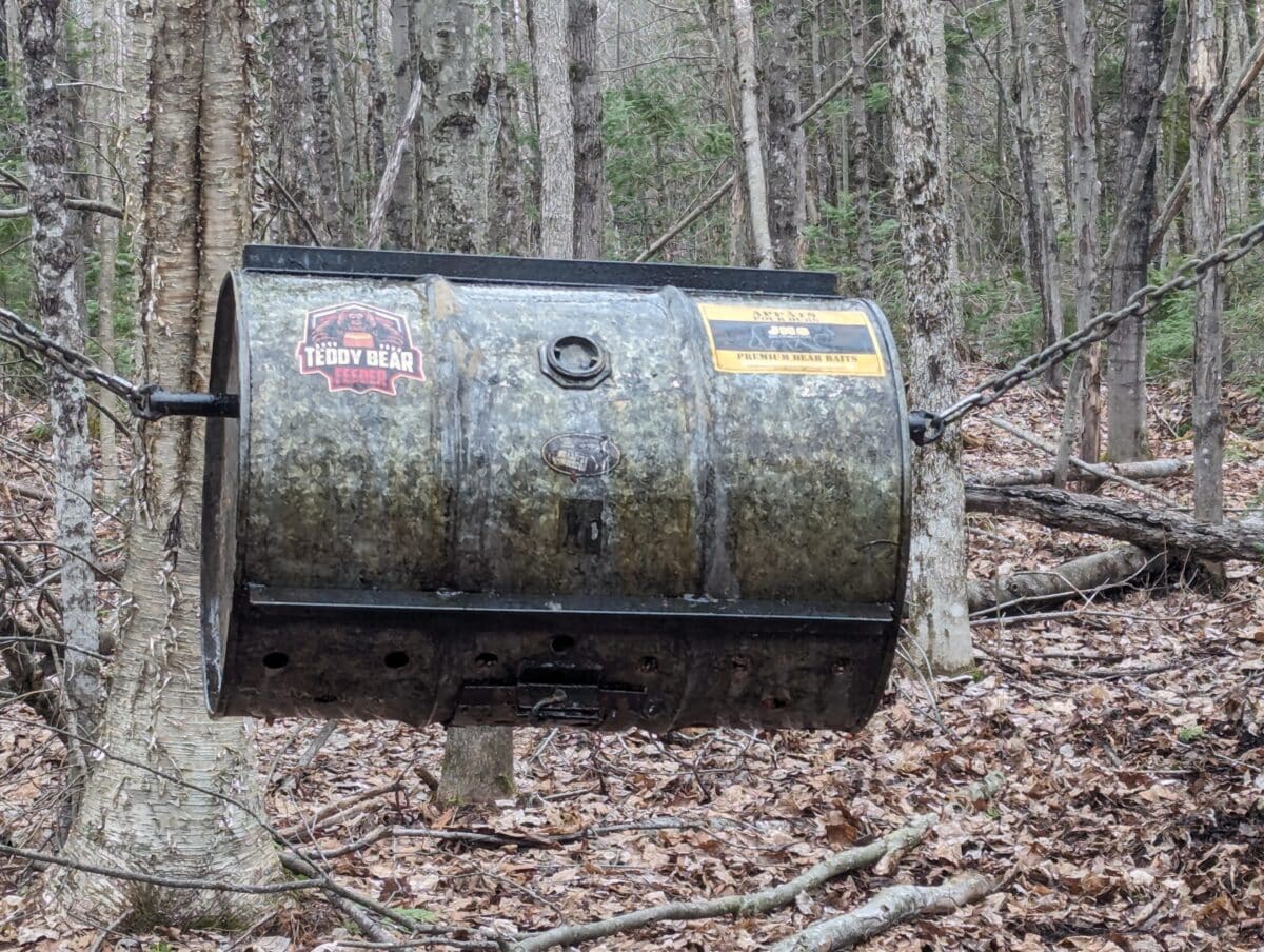 Teddy Bear Feeder