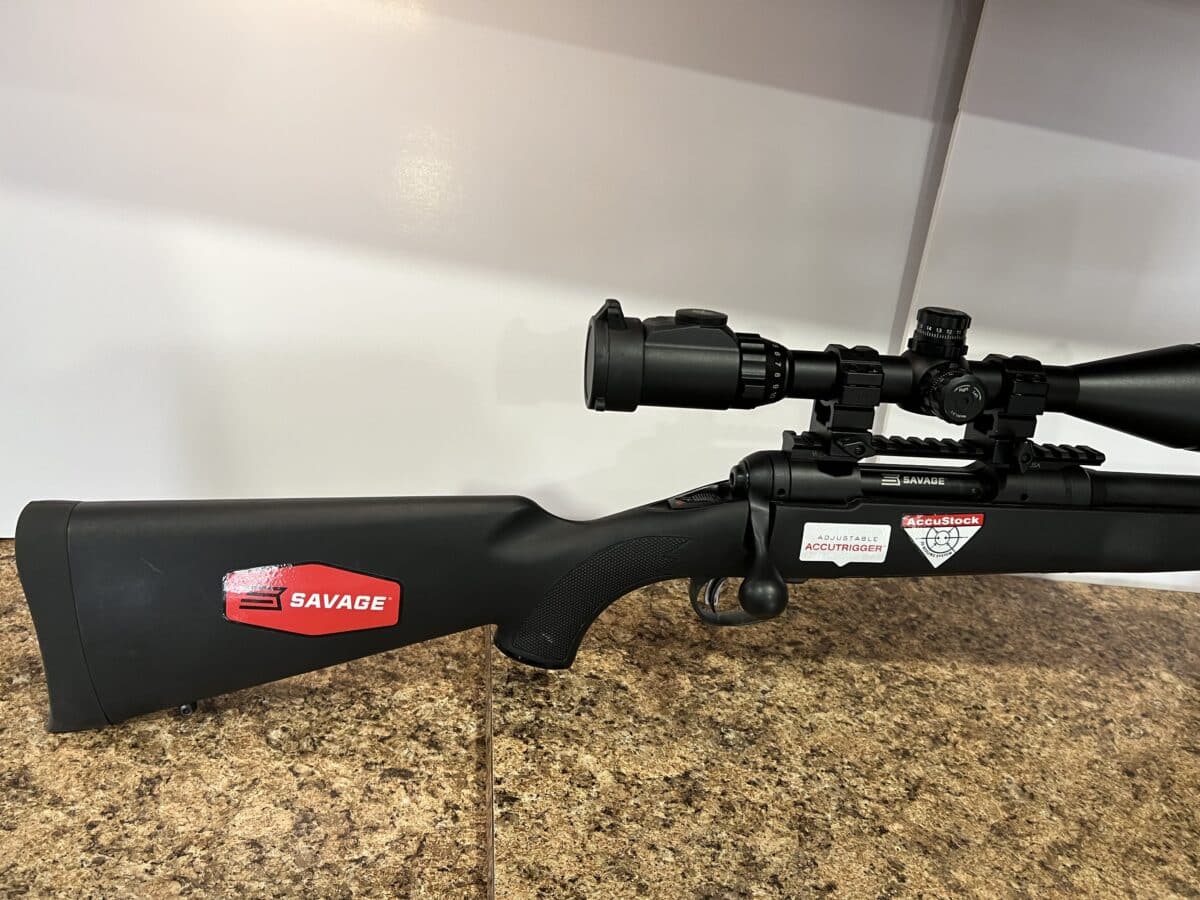 308 savage tactique