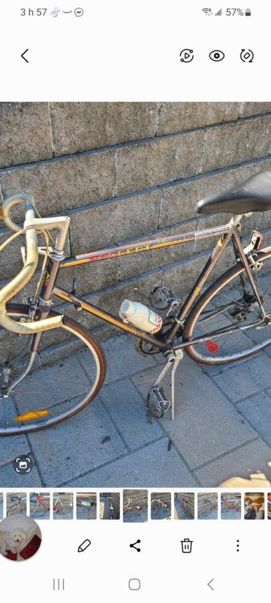 Bicycle Peugeot