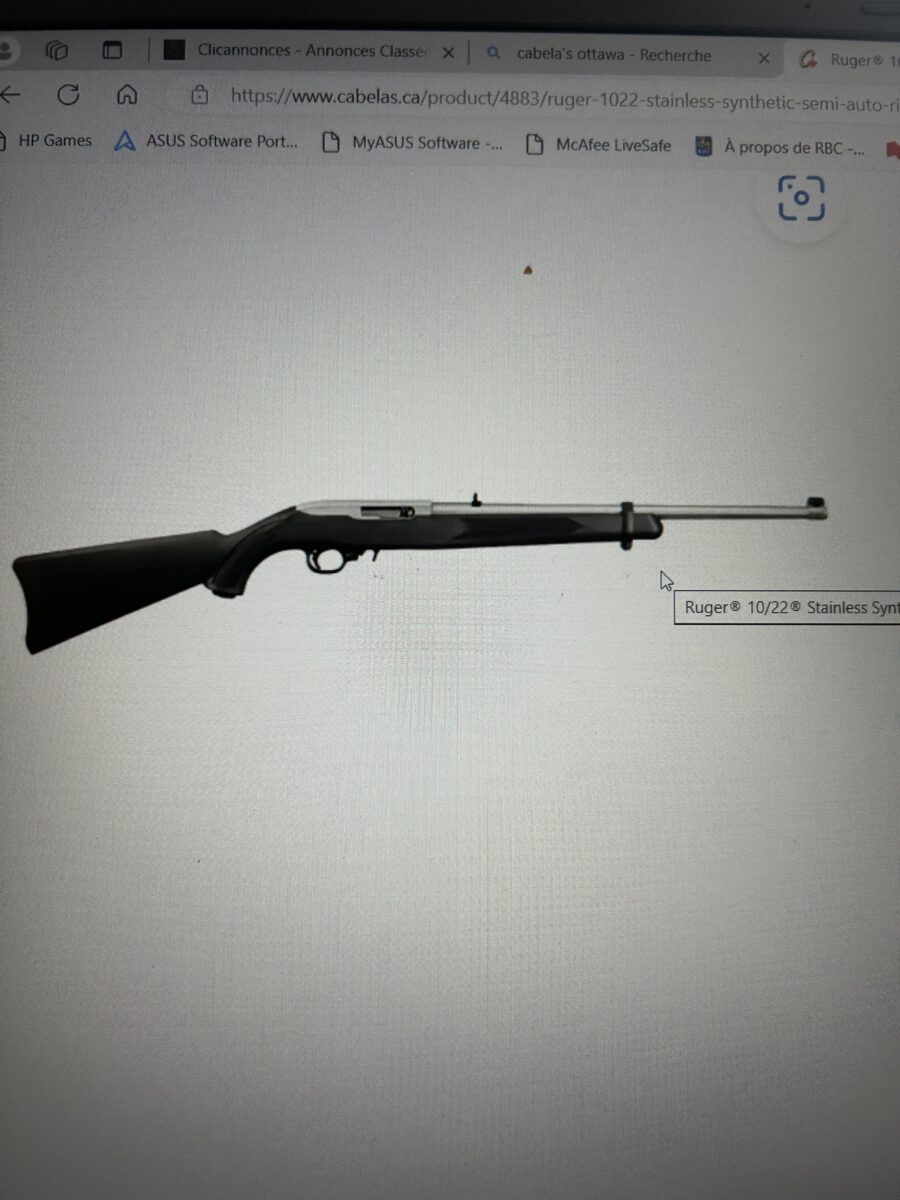 recherche crosse Ruger 10/22