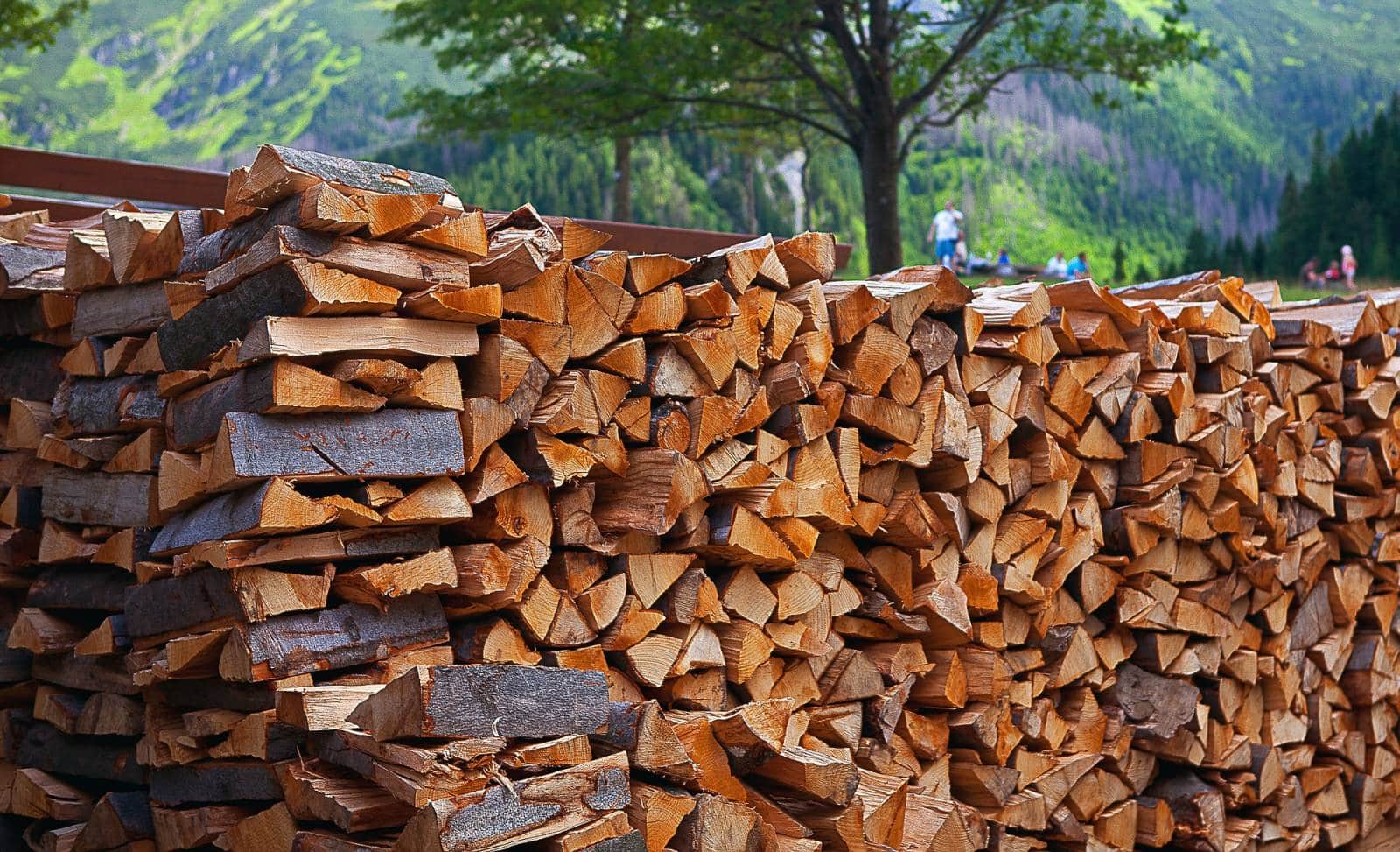 Bois de chauffage, autres bois, hêtre d’excellente qualité