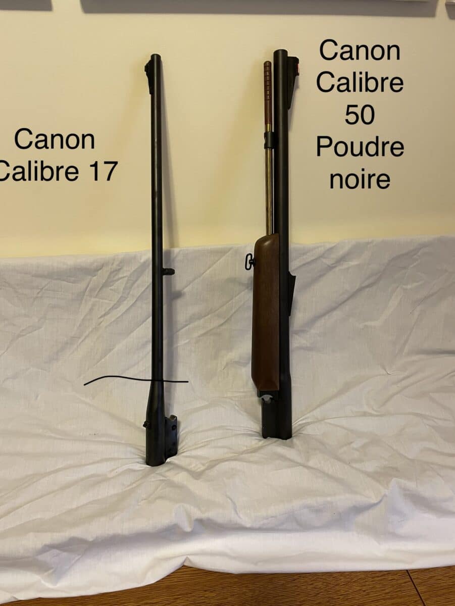 Armes mixte. Rossi.270/17/50. Idéales pour amateur de chasse fine.