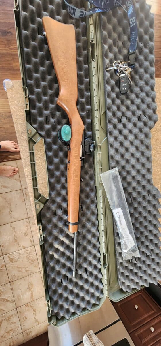 Ruger 10/22 LR en bois