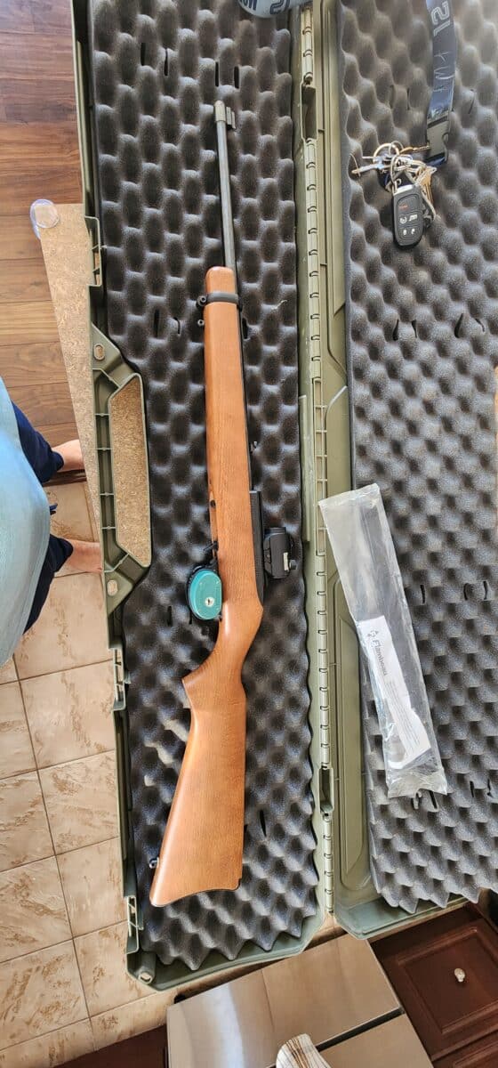 Ruger 10/22 LR en bois