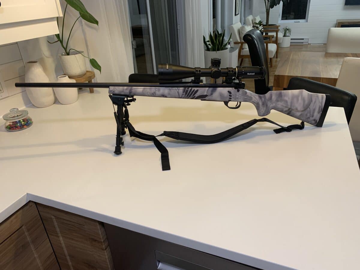 weatherby vanguard 2.0