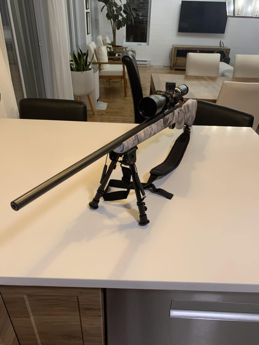 weatherby vanguard 2.0