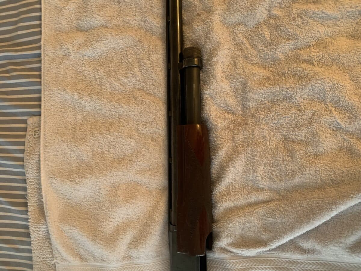 Browning 12 a pompe