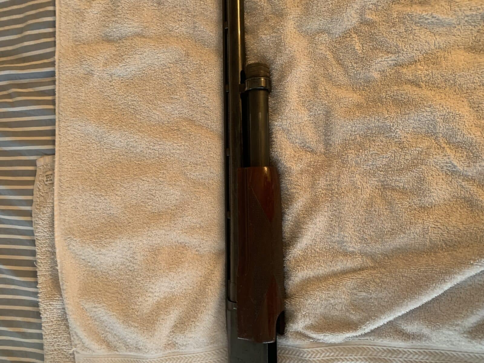 Browning 12 a pompe