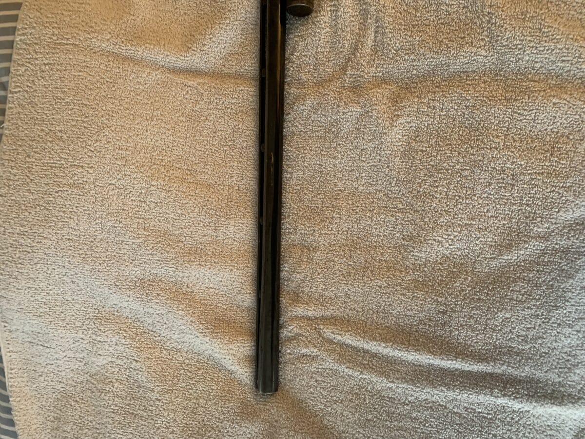 Browning 12 a pompe