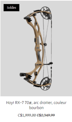 Arc Hoyt RX-7 en carbon Régulier $2,349.99 en vente à $1999.00